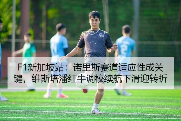 xin-jia-po-zhan-nuo-li-si-sai-dao-shi-ying-xing-cheng-guan-jian-wei-si-ta-pan-hong-niu-diao-xiao-xu-hang-xia-hua-ying-2-508.jpg